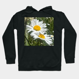 Natural Love of the Daisy Hoodie